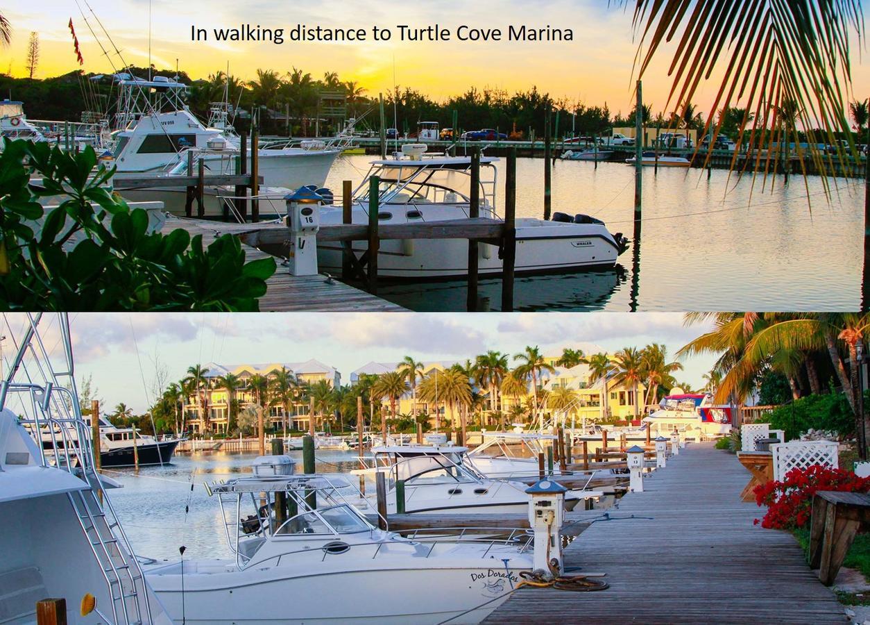 Queen Angel Resort Apartment Providenciales Εξωτερικό φωτογραφία